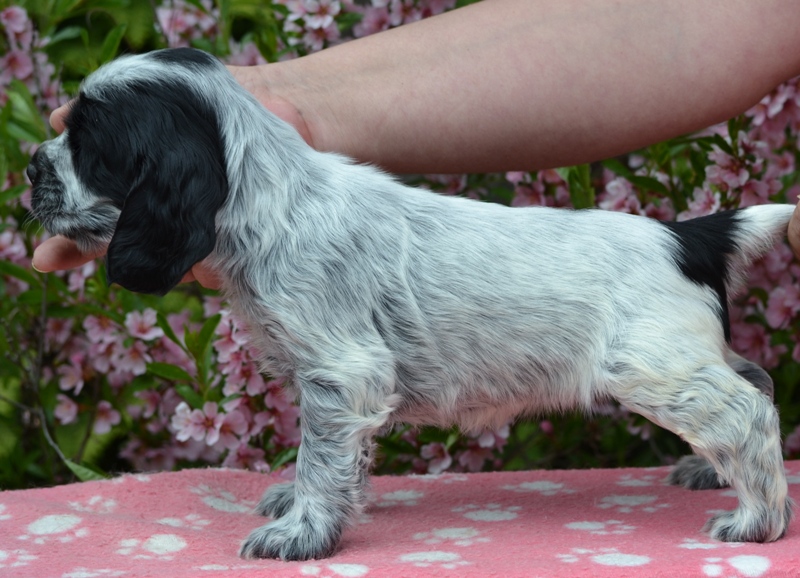 24 - Lady Abigail.JPG